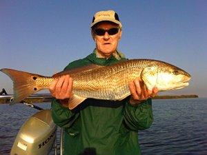 browne redfish on fly