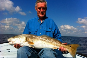 browne redfish on fly