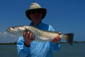 mosquito lagoon 30 inch gator trout