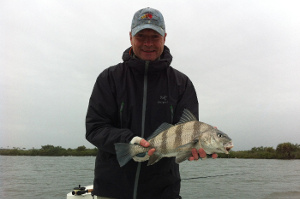 mosquito lagoon black drum on fly