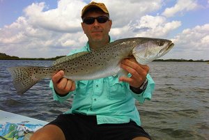gray trout