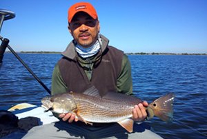 greaves redfish on fly