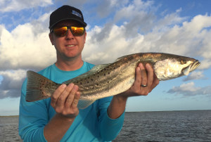 catching trout in mosquito lagoon