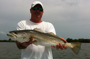 indian river lagoon spotted sea trout