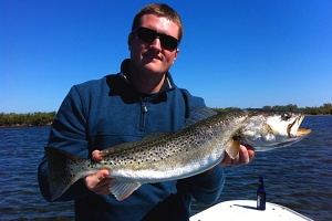 murphy group trout