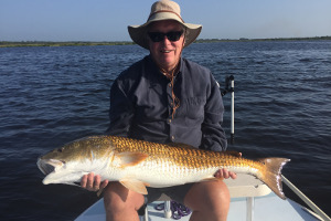 trophy bull redfish from indian river lagoon