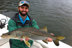 indian river snook