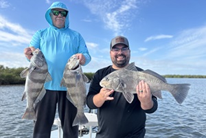 black drum triple hook up nsb florida