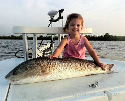 Indian River Lagoon - Indian River Redfish - Indian River Speckled